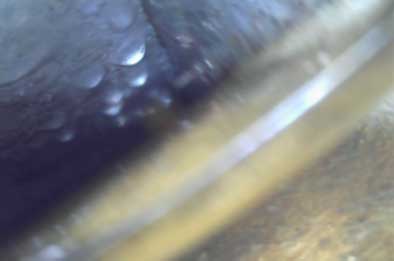 Moisture in Dryer Vent